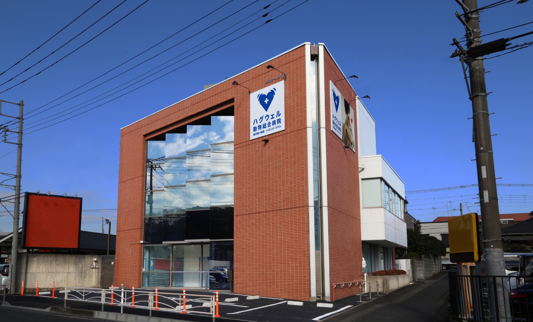 ペットの健康寿命を守る、新たな挑戦